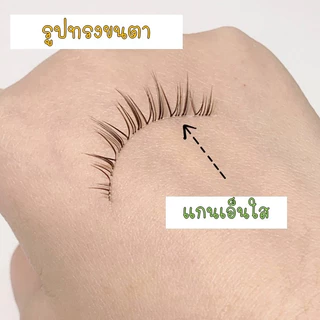 ขนตาปลอม 3D ขนตาปลอมธรรมชาติ ขนตาต่อ ขนตาปลอมเกาหลี ขนตาปลอมมังงะ 5 คู่ สไตล์แฟรี่
