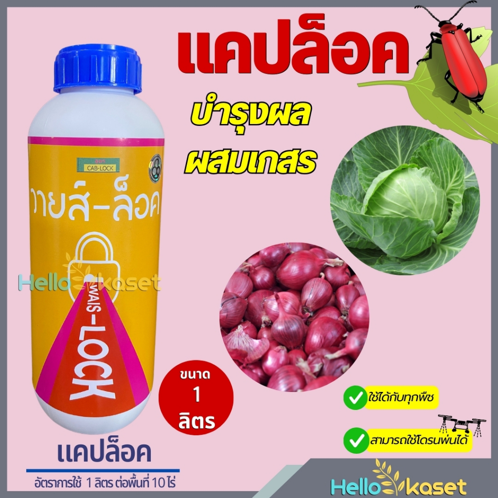 แคปล็อค ขนาด 1 ลิตร ผสมเกษร สร้างน้ำหนัก ขยายผล สร้างแป้ง บำรุงผล