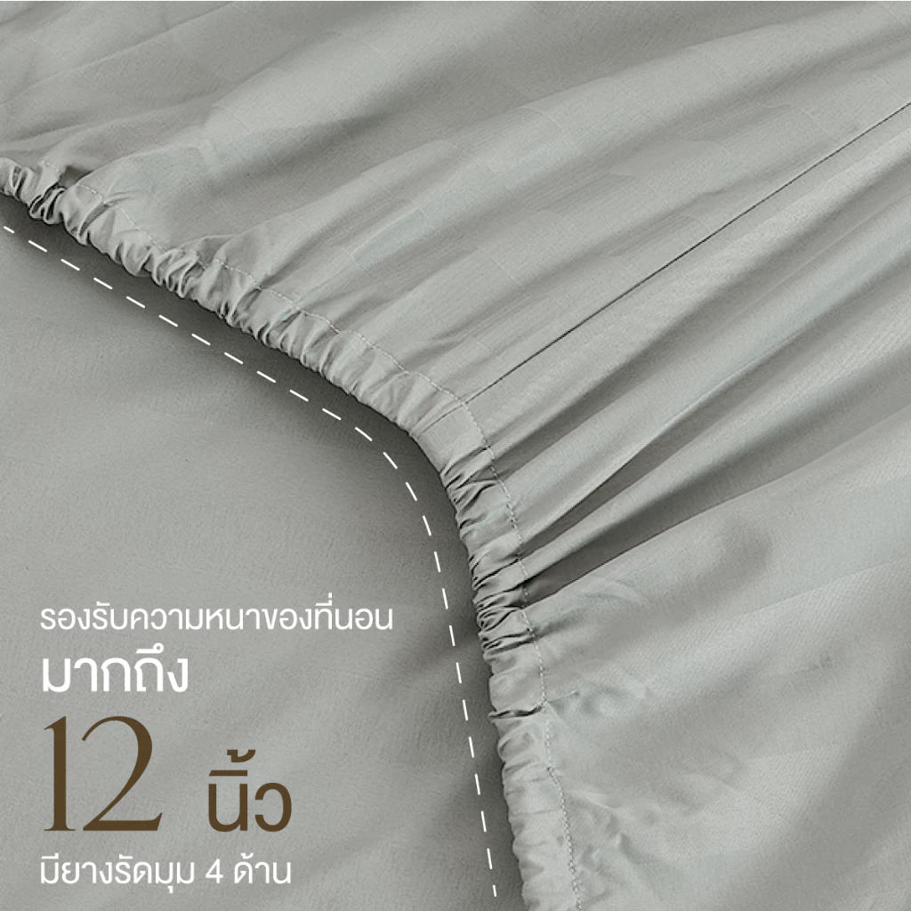 ibed ชุดผ้าปูที่นอนทอลายครบเซ็ท Softex Satin (ทอลายริ้ว) Silver Gray - STRIPED COLLECTION thumbnail 6