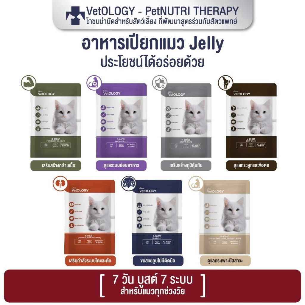 VetOLOGY อาหารเปียกสำหรับแมว เหมาะกับทุกช่วงวัย ขนาด 80 กรัม