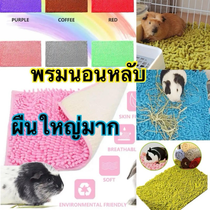 พรมนอนหลับหนูแกสบี้ตะเภาขวัญคละสี