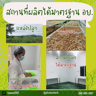 ผงขมิ้นชัน [มี อย.] สำหรับรับประทาน ตราภูก้อนเฮิร์บ ส่งตรงจากแหล่งปลูก