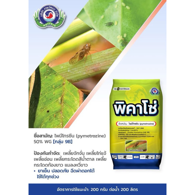 พิคาโซ่ (Picazo) 500 กรัม ยาป้องกันกำจัดแมลง ชนิดดูดซึม รูปที่ 2