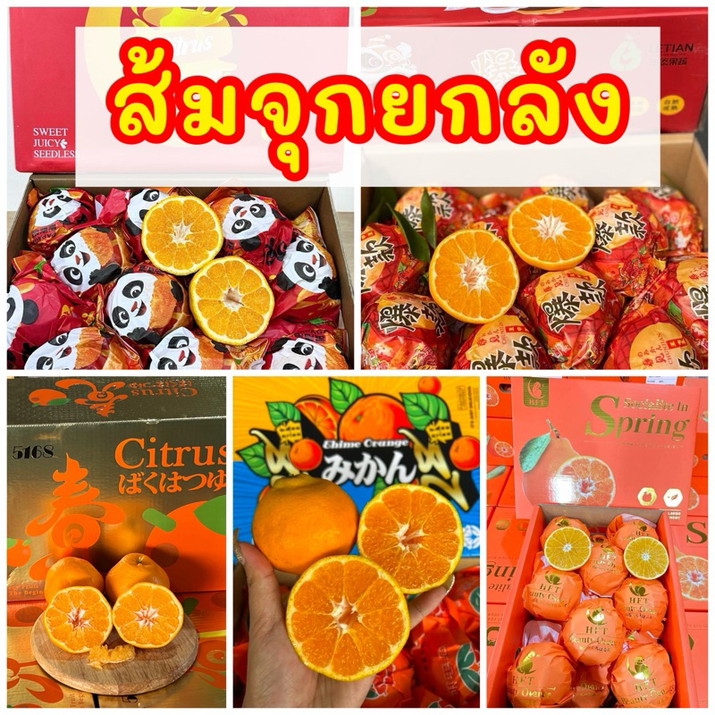 พร้อมส่ง‼️ส้มจุกยกลัง (4-4.5kgรวมกล่อง) ส้มเดโกปอง ส้มจุกสด เน้นส่งล็อตใหม่‼️