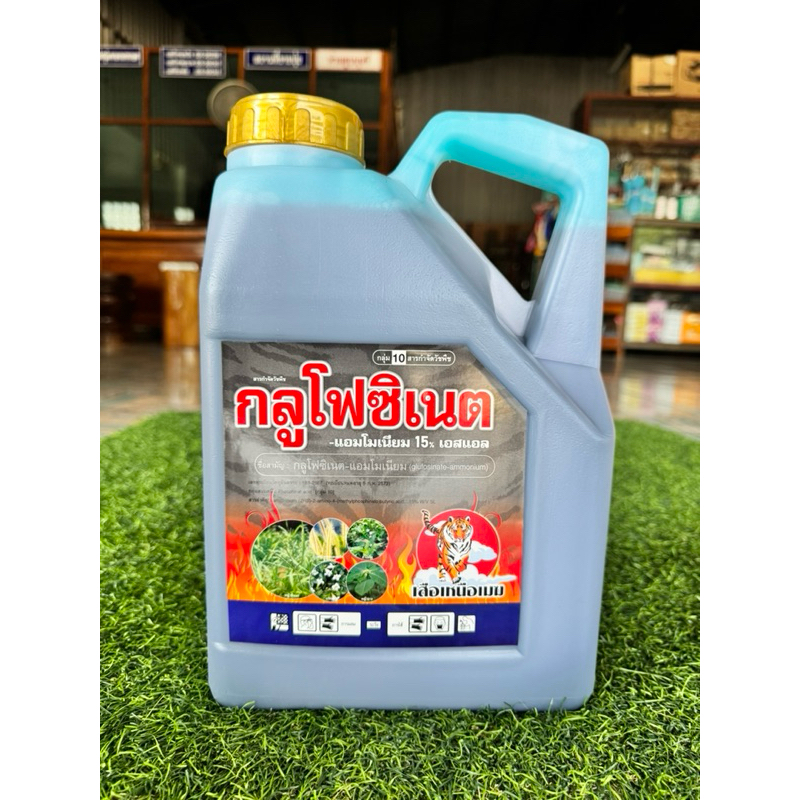 สินค้าขายดี กลูโฟซิเนตแอมโมเนียม เสือเหนือเมฆ ยากำจัดวัชพืชแบบเผาไหม้กึ่งดูดซึม หญ้าตายเกลี้ยง แห้งกรอบตายนาน