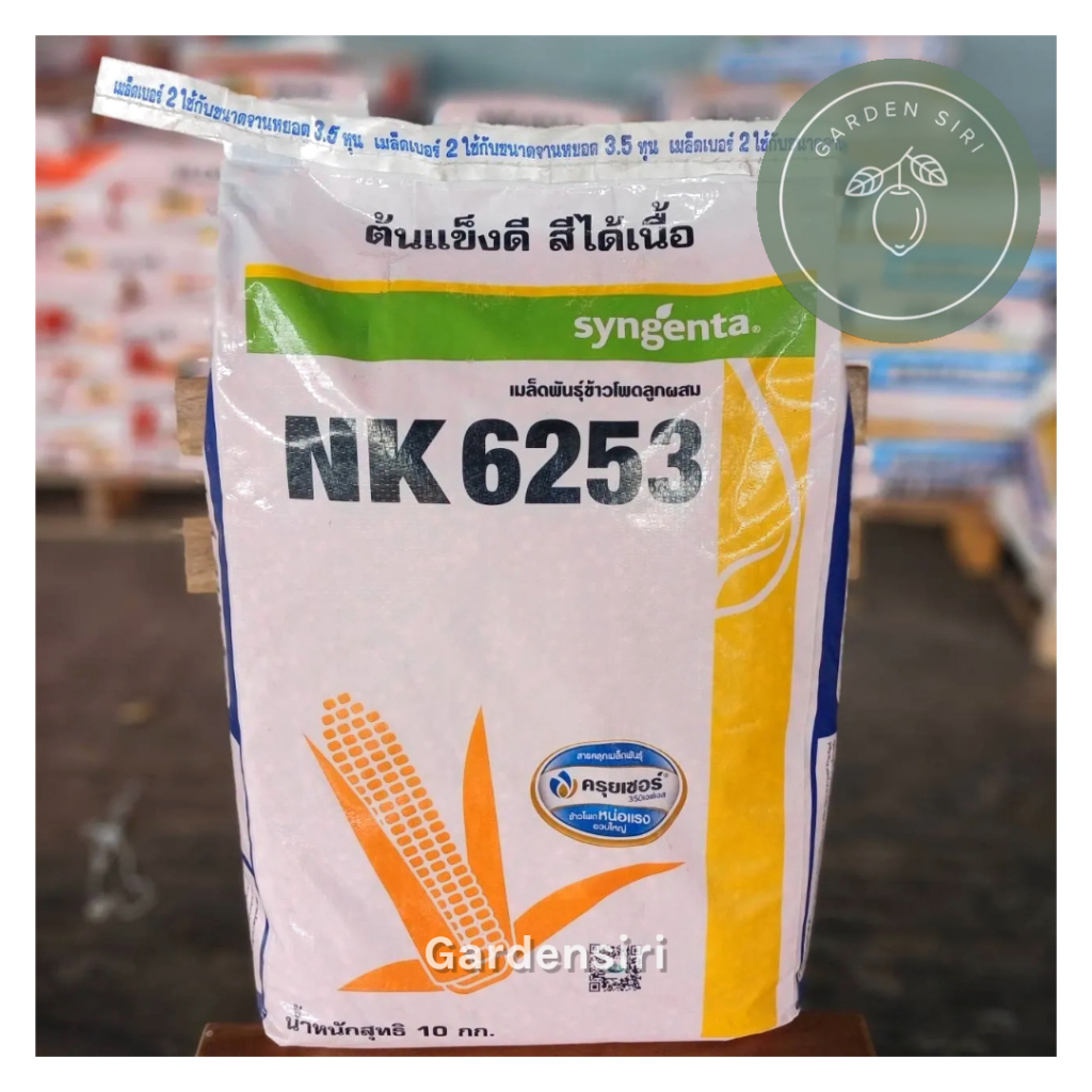 เมล็ดพันธุ์ข้าวโพดเลี้ยงสัตว์  NK6253 ขนาด3.5หุน 10kg. ยืนต้นดี สีได้เนื้อ