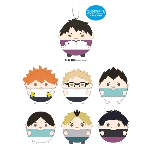 พร้อมส่ง / Haikyuu Fuwa Vol.9 Box Set ตุ๊กตา ฟุวะ ไฮคิว คู่ตบฟ้าประทาน
