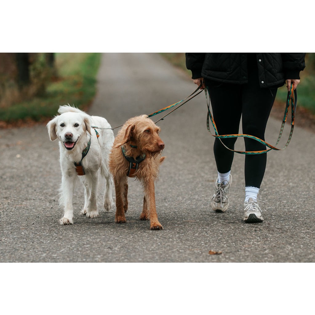 Non-stop dogwear Trail Quest Leash Rachel Pohl Edition สายจูงสุนัข รุ่นราเชล พอล - รูปที่ 3