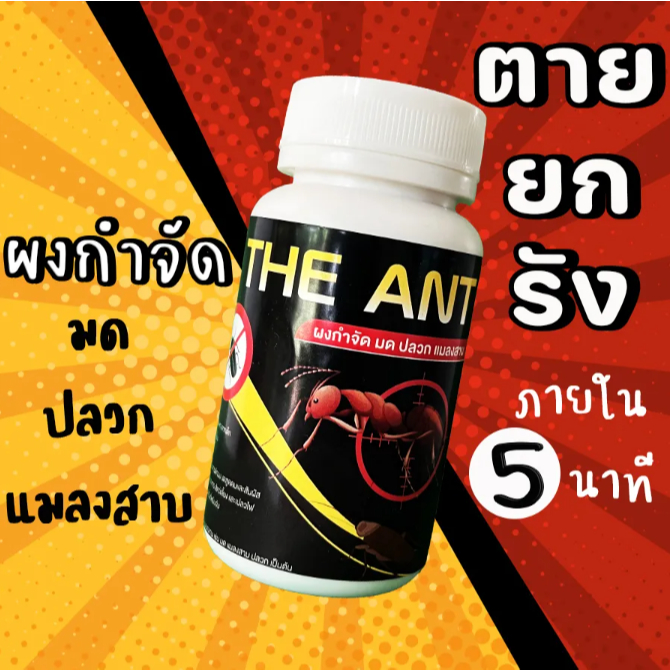 The Ant ผงกำจัด มด ปลวก แมลงสาบ สูตรตายยกรัง ภายใน 5 นาที