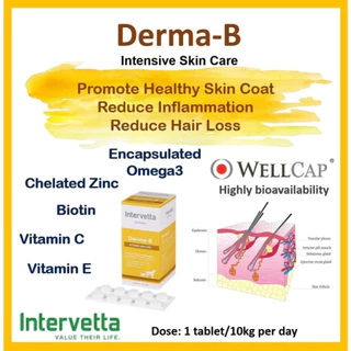 Intervetta Dr.Choice อาหารเสริม วิตามิน สำหรับสุนัขและแมวทุกสายพันธุ์ (100 เม็ด)