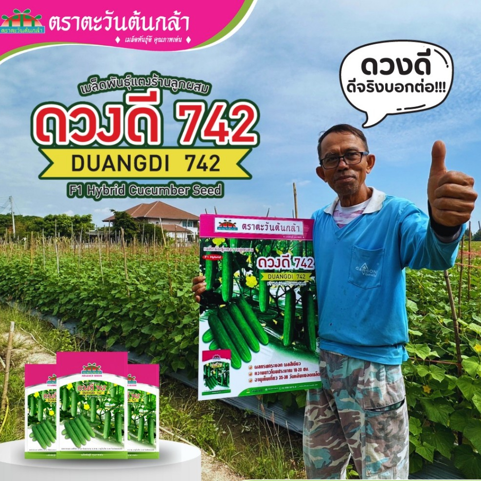 ดวงดี 742 เมล็ดพันธุ์แตงร้าน ขนาด 100กรัม ตราตะวันต้นกล้า แตงร้านดวงดี