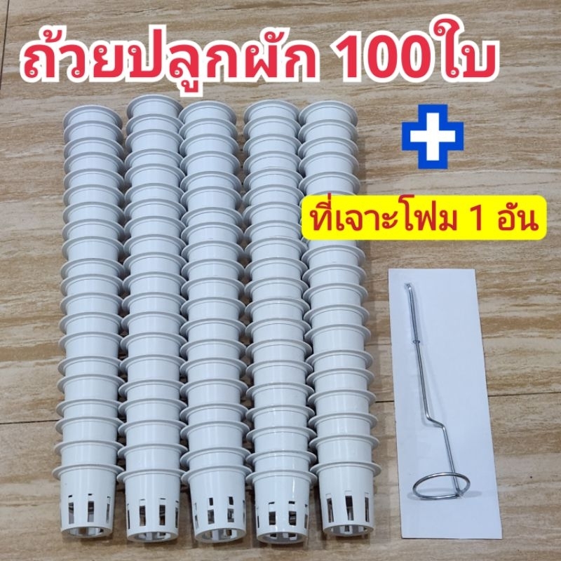 ถ้วยปลูกผักไฮโดรโปนิกส์ 100ใบฟรีที่เจาะรูกล่องโฟม 1 ชิ้น มีหลายเซ็ตให้เลือก