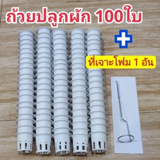 ถ้วยปลูกผักไฮโดรโปนิกส์ 100ใบ พลาสติกเกรด A+ที่เจาะรูกล่องโฟ…