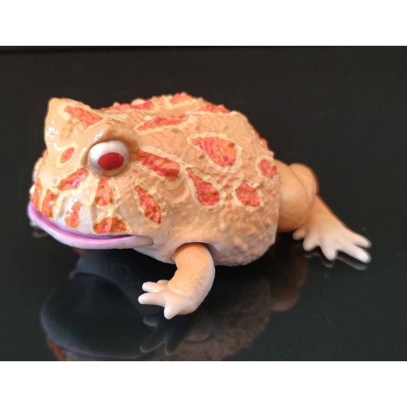 Gasahpon Bandai - Ikimono Encyclopedia Reptile - Yellow Albino Pacman Frog มือสอง