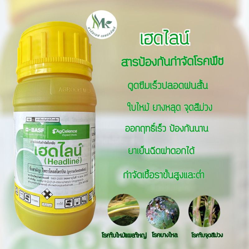 เฮดไลน์ 250cc กำจัดเชื้อราในพืช แอนแทรคโนส ใบจุด ใบไหม้