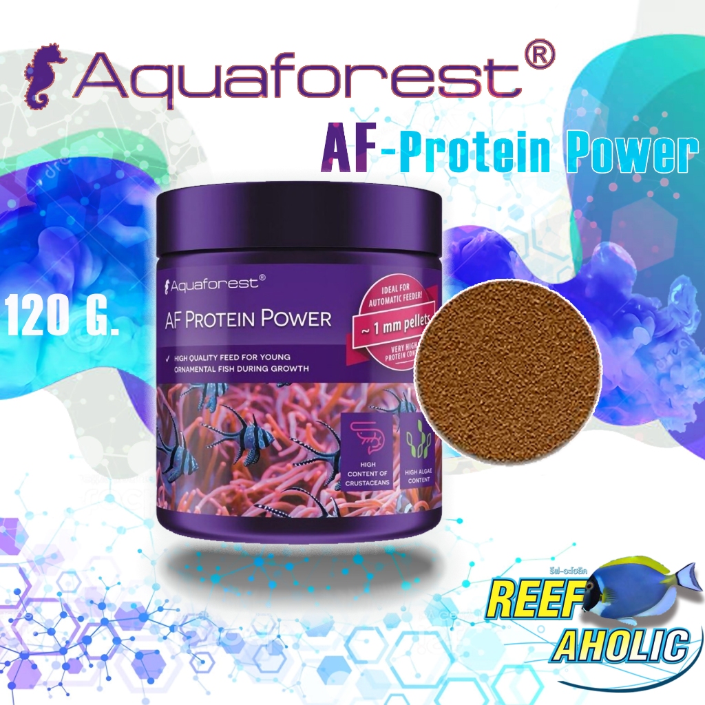 Aquaforest Protein Power 120g. อาหารปลา สูตรสาระอัดแน่นวิตามิน มุ่งเน้นให้ปลาฟินเวลางับ Reef-aholic