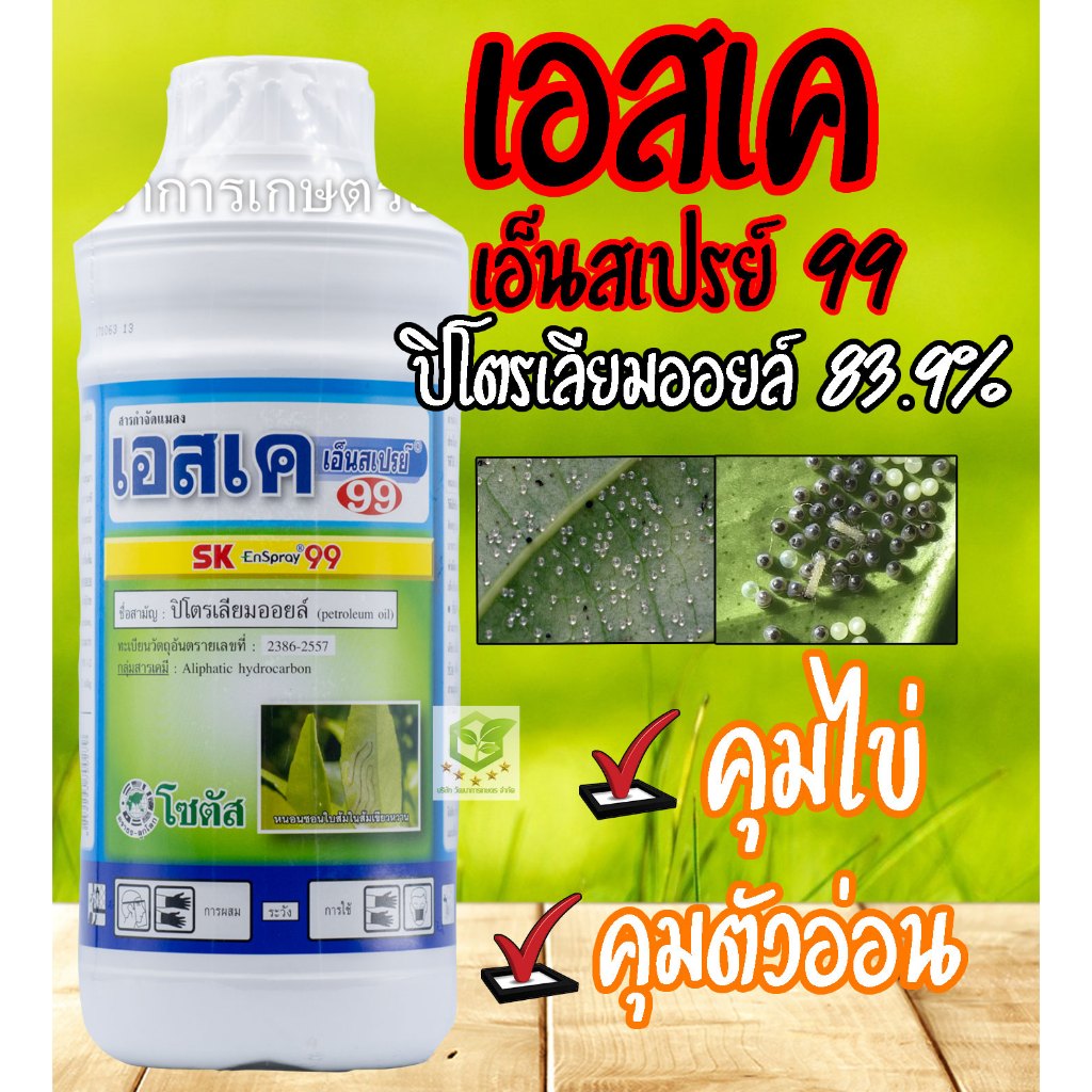 1ลิตร เอสเค เอ็นสเปรย์ 99 นำ้ใส (ปิโตรเลียมออยท์ ) ช่วยในการกำจัดและยับยั้งการเข้าทำลายแมลงศัตรูพืช