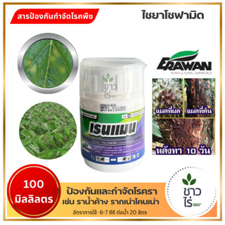 เรนแมน 100 ซีซี เอราวัณ ป้องกันกำจัดโรครา ราน้ำค้างในองุ่น ข…