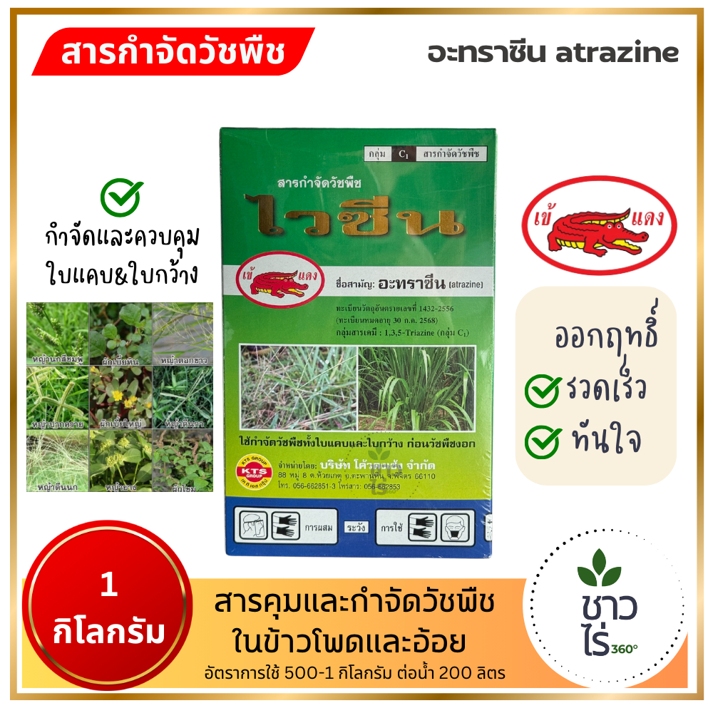 ไวซีน 1 กิโลกรัม อะทราซีน atrazine อาทราซีน สารคุมและกำจัดวัชพืชในข้าวโพดและอ้อย กำจัดวัชพืชใบแคบ ใบกว้าง เห็นผลไว