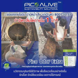 Dr.G G-Klean 50 g. ลดกลิ่นส้วม ท่อตัน ไขมันสะสม By Pico Alive
