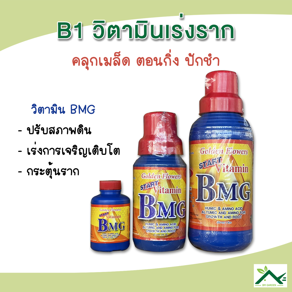 B1 วิตามินเร่งราก วิตามิน BMG กระตุ้นราก ตรา Golden Flowers