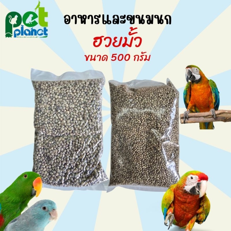 [500กรัม] อาหารนก ฮวยมั้ว ขนมนก อาหารสำหรับ นก นกแก้ว ใช้ฝึกนก หรือเป็นขนมให้นกได้ มี เม็ดเล็ก และ เม็ดใหญ่