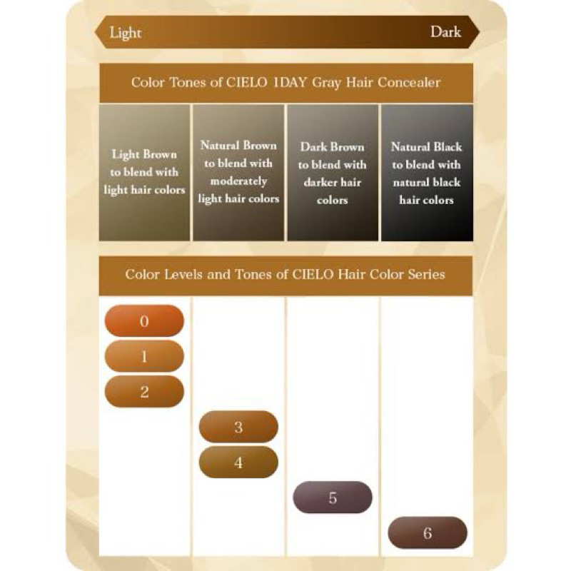 สินค้าญี่ปุ่น Hoyu Cielo 1day hair color comb ย้อมผม ทำสี ผมหงอก หวีปิดผมขาวแบบเร่งด่วน รูปที่ 5