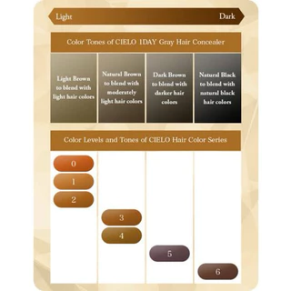 สินค้าญี่ปุ่น Hoyu Cielo 1day hair color comb ย้อมผม ทำสี ผมหงอก หวีปิดผมขาวแบบเร่งด่วน