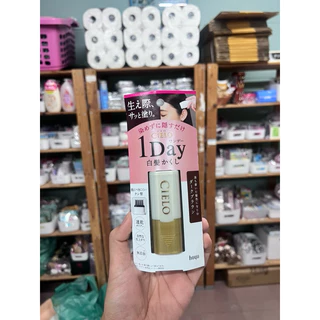สินค้าญี่ปุ่น Hoyu Cielo 1day hair color comb ย้อมผม ทำสี ผมหงอก หวีปิดผมขาวแบบเร่งด่วน