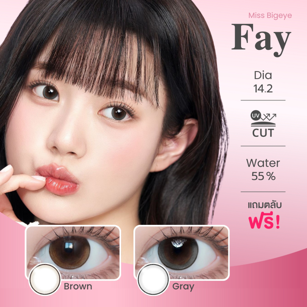 มินิ | Kitty Kawaii - Fay (Brown/Gray) คอนแทคเลนส์ ค่าอมน้ำ 55%