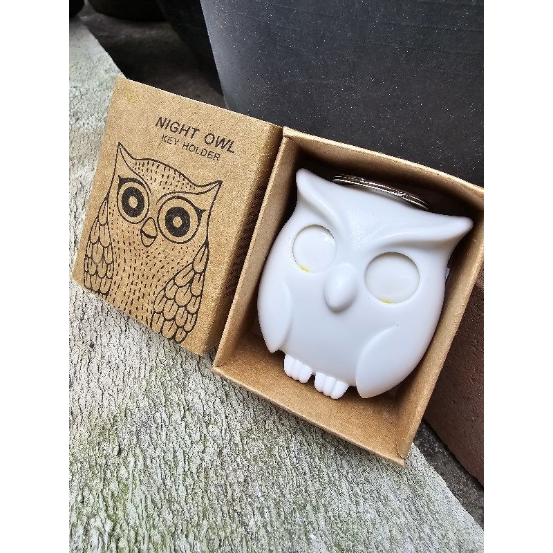 กุญแจแม่เหล็กนกฮูก 🦉✨️(สินค้าพร้อมส่ง!)