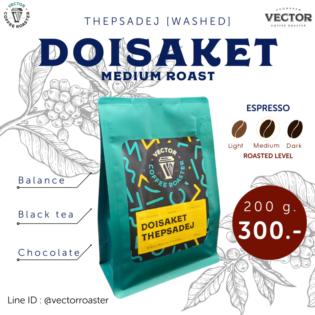 VECTOR : เมล็ดกาแฟคั่วกลาง จากดอยสะเก็ด wash process 200 กรัม