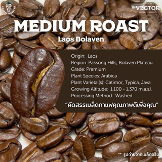 VECTOR : เมล็ดกาแฟคั่วกลาง (อราบิก้า 100% จากโบโลเวน เกรดพรีเมี่ยม) 250 กรัม