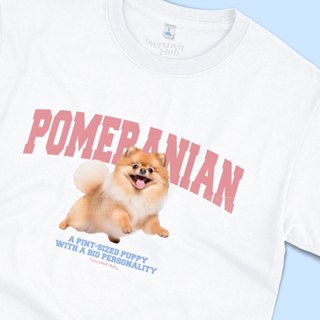 เสื้อยืดสกรีนลายหมาปอมเมอเรเนียน Pomeranian [Classic Cotton …