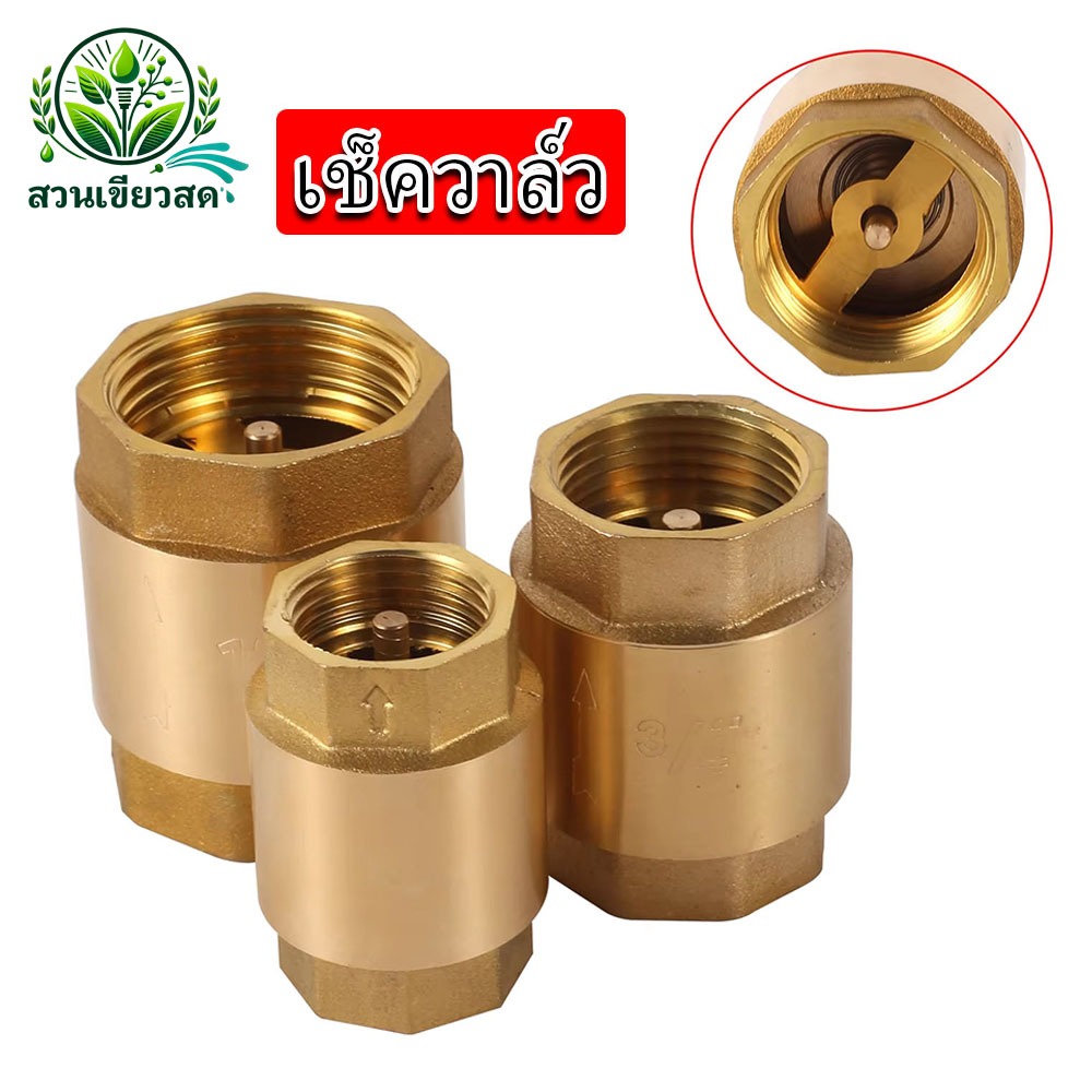 เช็ควาล์ว เช็ควาล์วทองเหลือง สปริง วาล์วกันย้อน แบบแนวดิ่งและแนวราบ 1/2'' 3/4'' 1 นิ้ว Check Valve