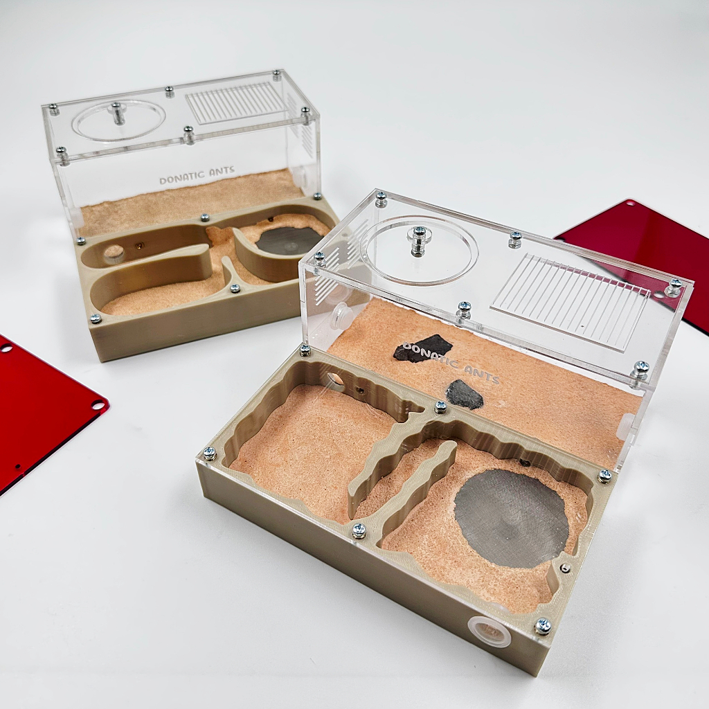 รังเลี้ยงมด 3D แนวนอน ขนาด L - Donatic Ants