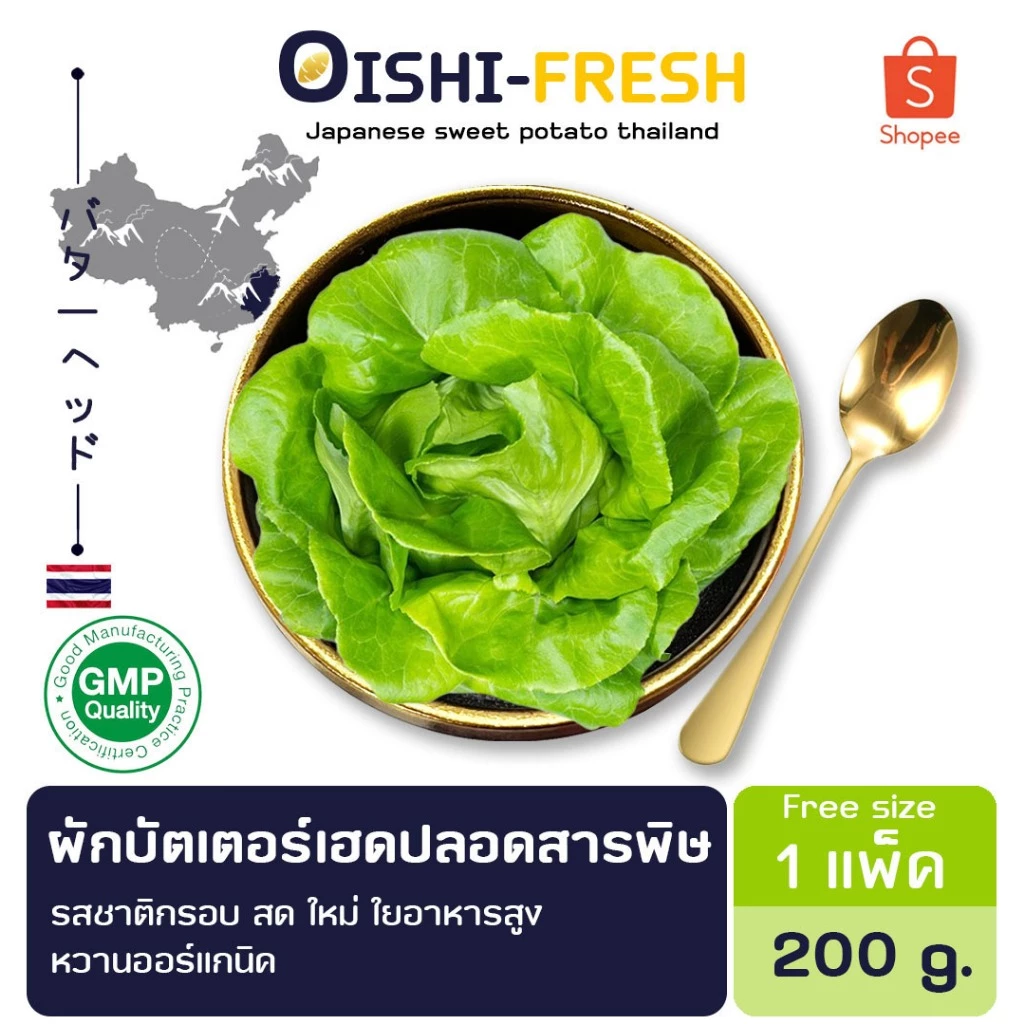 🛒Oishi-Fresh🥬บัตเตอร์เฮด ปลอดสารพิษ 1 กก. รสชาติกรอบ สด ใหม่ ใยอาหารสูง หวานออร์แกนิค เคลมได้ 1-2 วัน