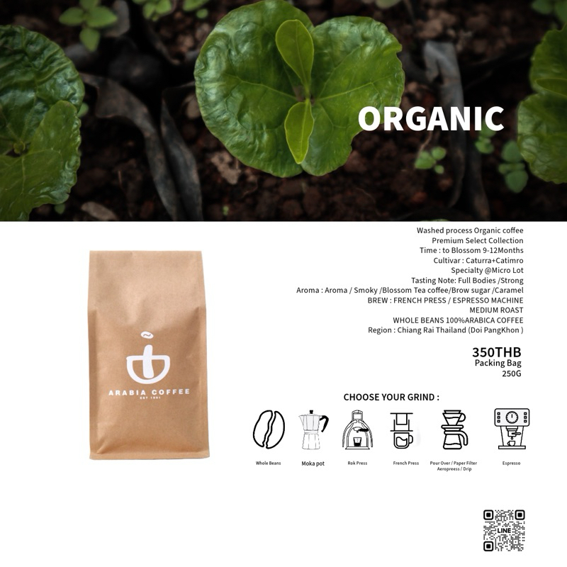 ORGANICcoffeeกาแฟที่ปลูกเกษตรอินทรีย์เกษตรธรรมชาติบ้านปางขอน 250 G.