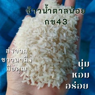 ถูกที่สุด👍ข้าวน้ำตาลต่ำ ข้าว กข43 นาคุณย่า ข้าวน้ำตาลน้อย🌾ข้าวเพื่อสุขภาพ ออแกนิค ปลอดสารเคมี 🌾ส่งตรงจากชาวนาถึงมือคุณ