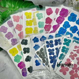 【พร้อมส่ง】ดอกไฮเดรนเยียสีพาสเทลทับแห้ง ดอกไม้จริงทับแห้ง ดอกไม้ทับแห้ง Pressed Flowers💐