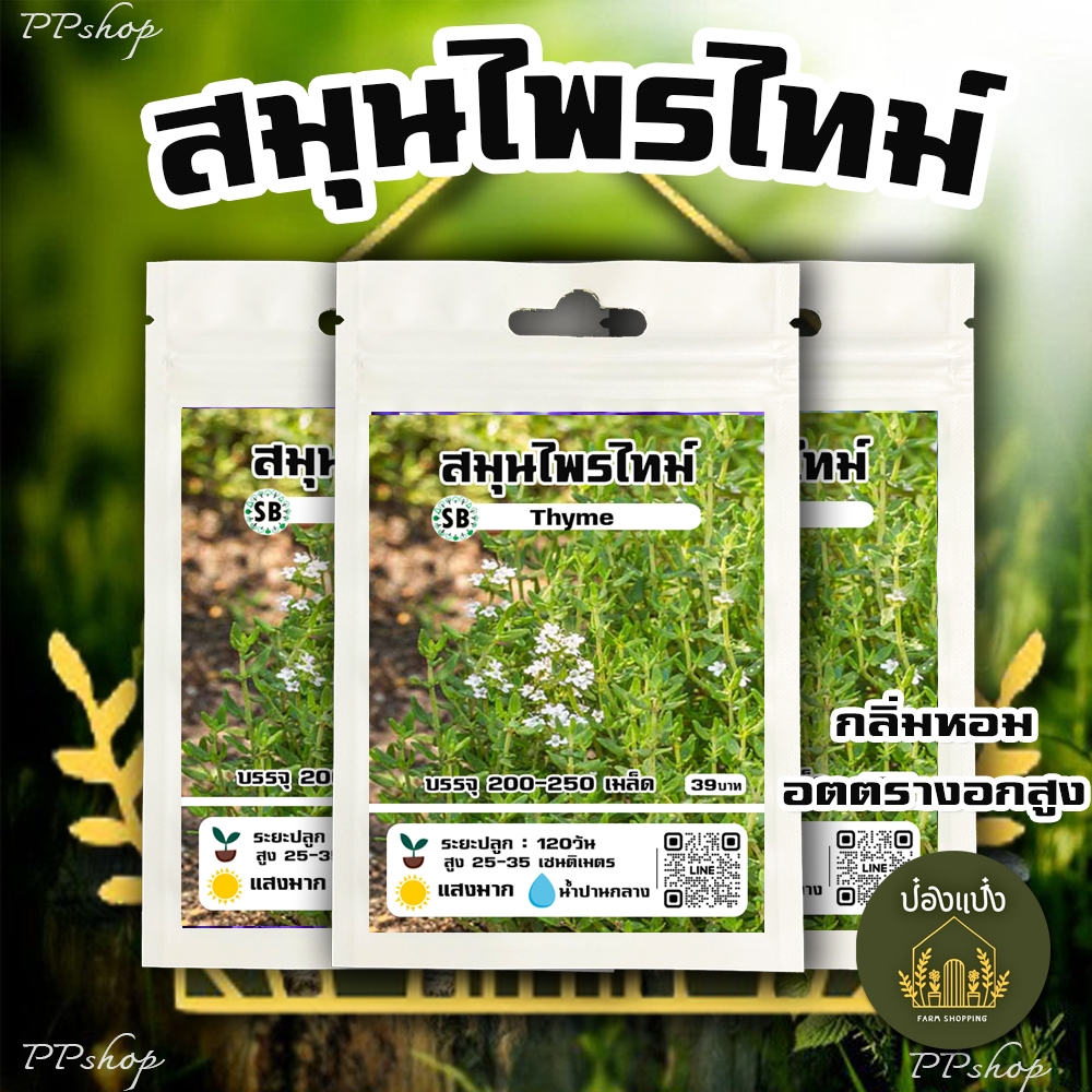 เมล็ดไทม์ สมุนไพรฝรั่ง-กลิ่นหอม  200-250 เมล็ด/ซอง // PPshop