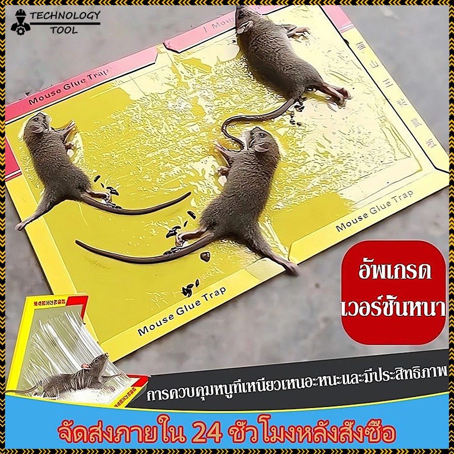 【ซื้อ 1 แถม 10】กาวดักหนู ความแข็งแรงสูง กาวดักหนู กาวดักหนูใหญ่ เยอะขึ้นเหนียวขึ้น ปลอดสารพิษ งู หนู แมลงสาบ