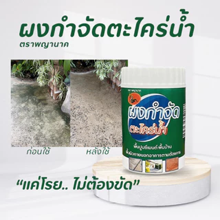 ผงกำจัดตะไคร่น้ำ 1 แถม 1 ลด50% สำหรับพื้นปูน ใช้ง่าย ไม่เปลืองแรงขัด ผงกำจัดตะไคร่น้ำ ตราพญานาค