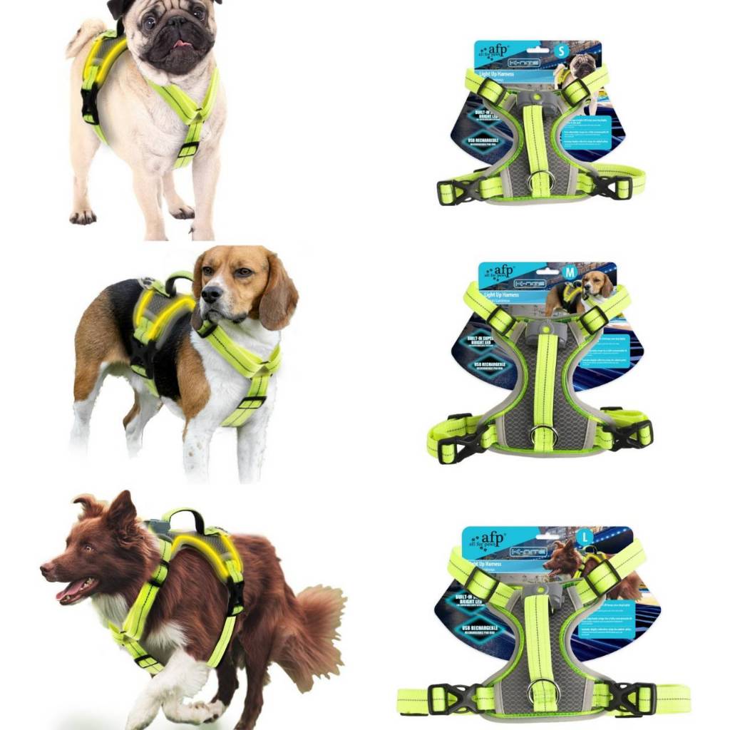 AFP K-nite Light Up Herness For Dog