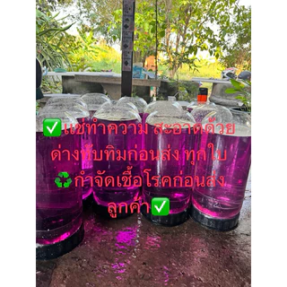 โหลพาลปลากัด ขนาด 20 L