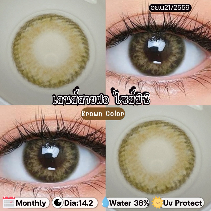 มีค่าสายตา(0.00ถึง-500) คอนแทคเลนส์รายเดือน Dna Brown