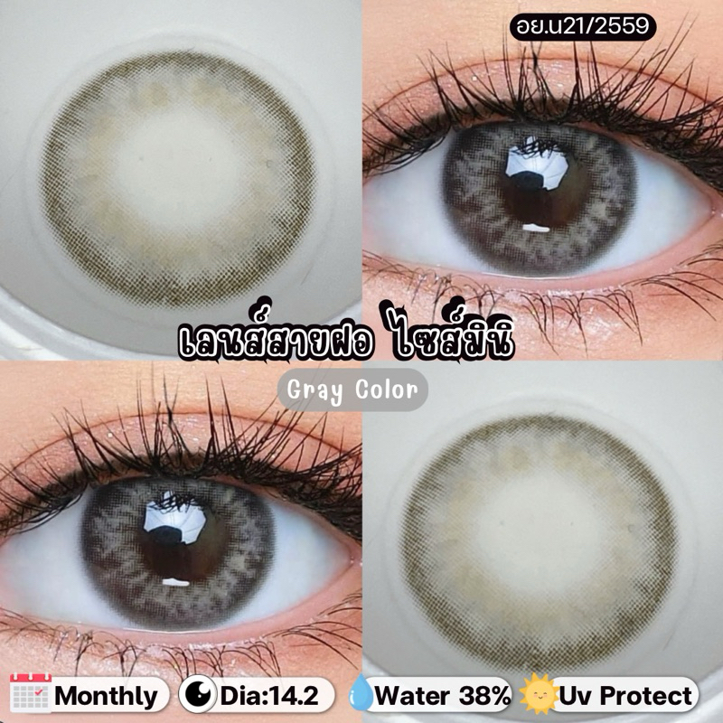 มีค่าสายตา(0.00ถึง-500) คอนแทคเลนส์รายเดือน Dna Gray
