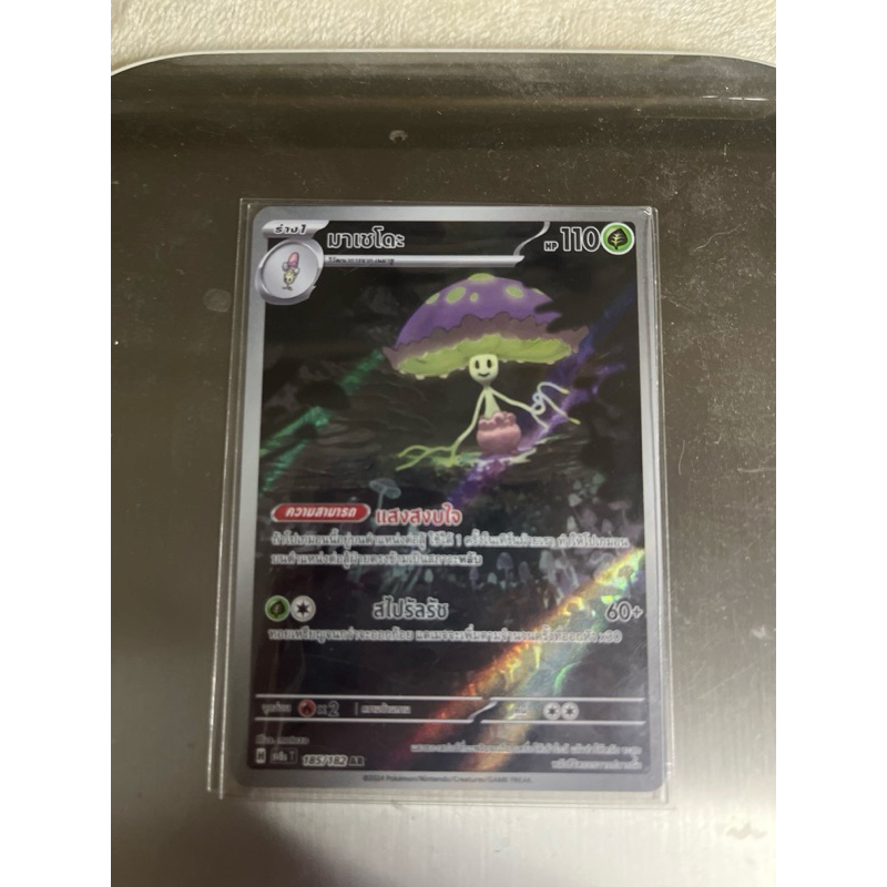 มาเซโดะ AR sv8sT แสงนำทางแห่งสเตล่า