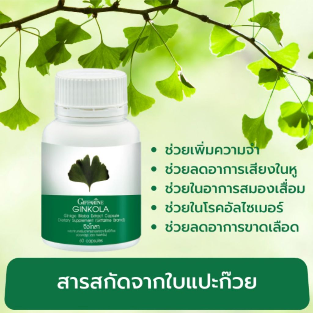 เวียนหัว บ้านหมุน น้ำในหูไม่เท่ากัน บำรุงสมอง สกัดจากแป๊ะก๊วย วิตามินบีรวม ความจำเสื่อม - รูปที่ 2