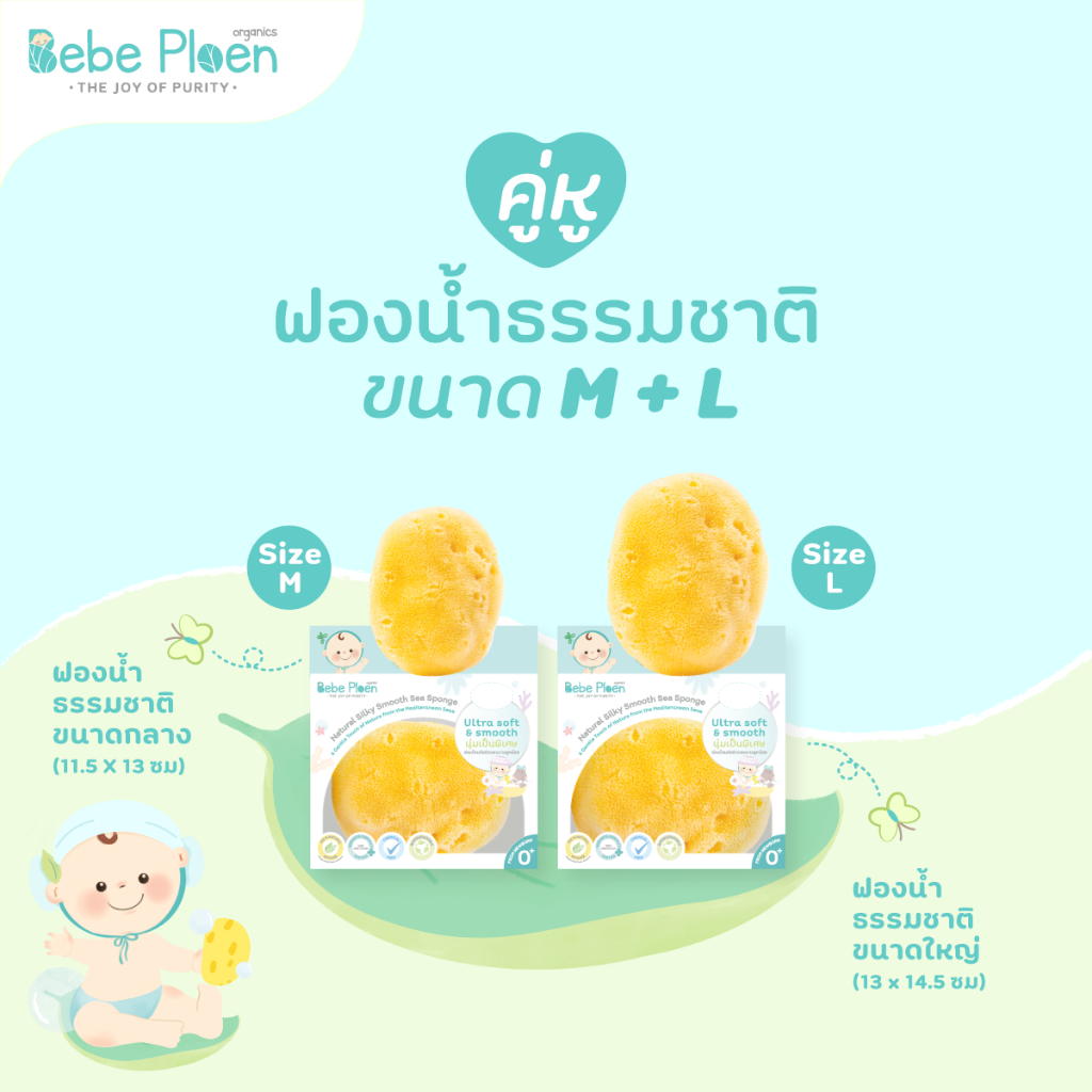 Bundle ฟองน้ำสายพันธุ์ธรรมชาติ ขนาดกลาง(M) และ ขนาดใหญ่(L)